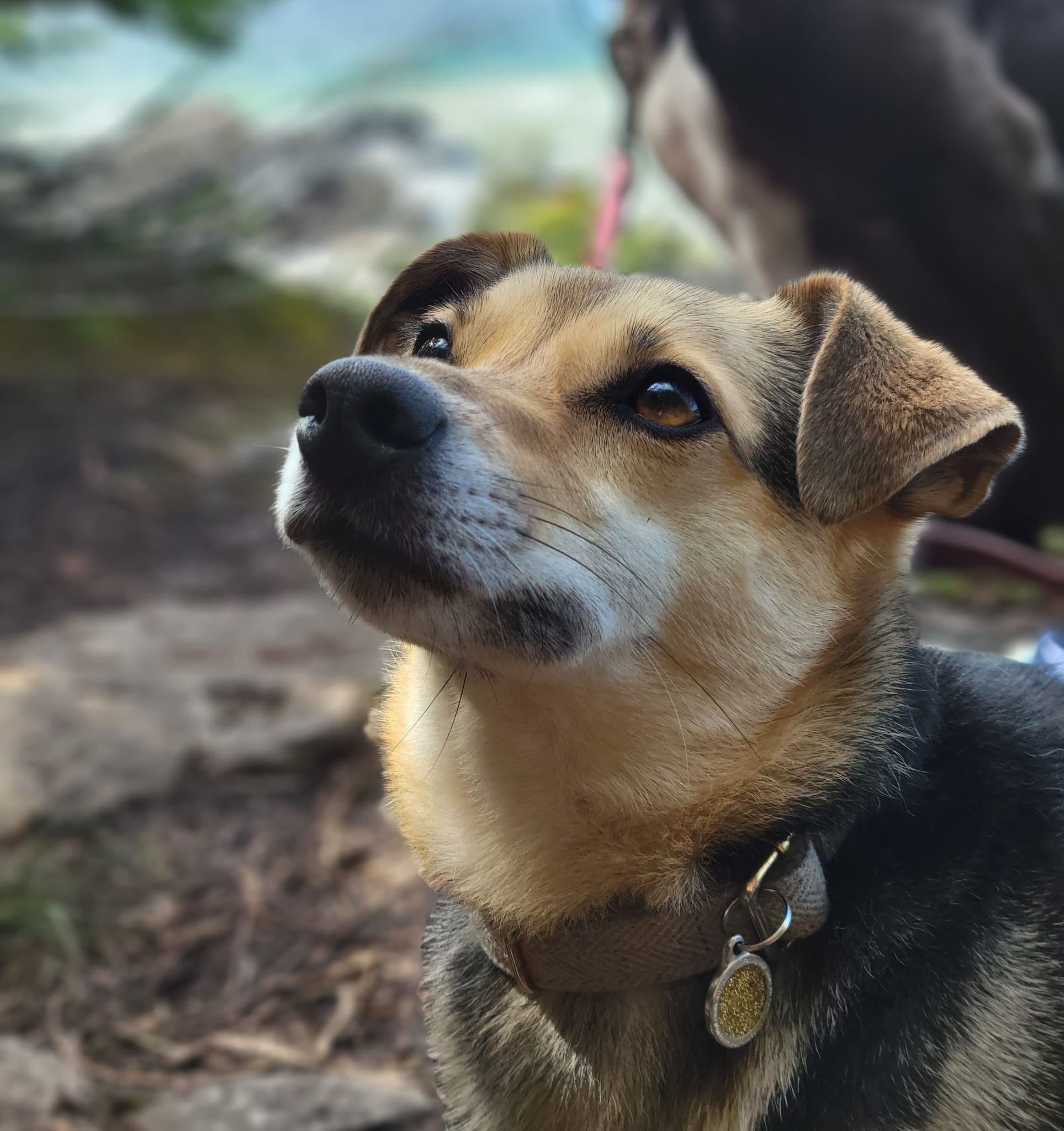 Co-Founder