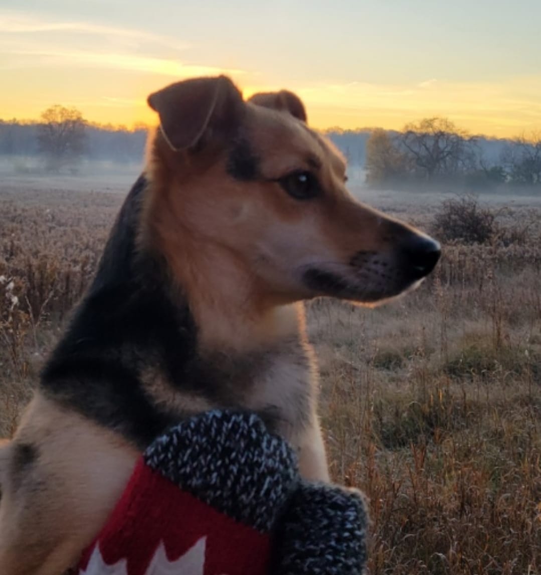 Sophie - The Adventurer